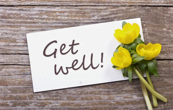 Flowers, bouquet, flowers, get well