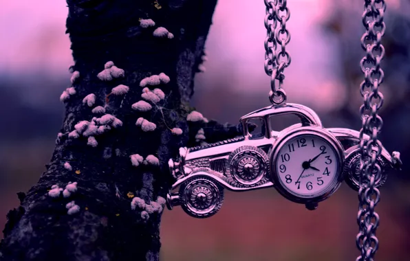 Picture machine, tree, watch, chain, car