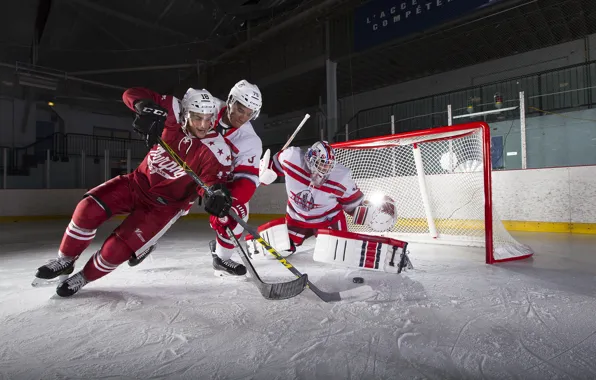 Sport, the game, hockey