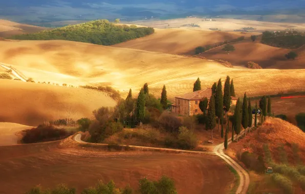 Road, trees, house, field, Italy, Tuscany