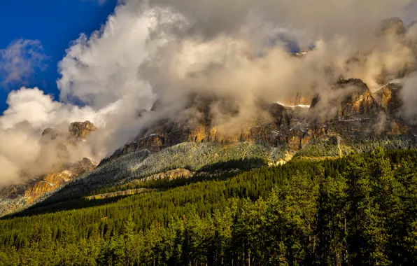 Forest, clouds, trees, mountains, rocks, Canada, Banff National Park, Banff