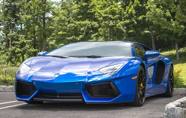 Picture Lamborghini, blue, parking, aventador