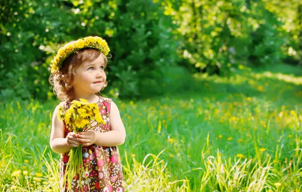 Picture summer, grass, child, summer, dandelions, flowers, dandelions, child