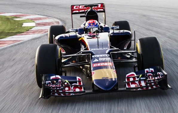 Picture formula 1, the car, Formula 1, Red Bull, 2015, Toro Rosso, STR10