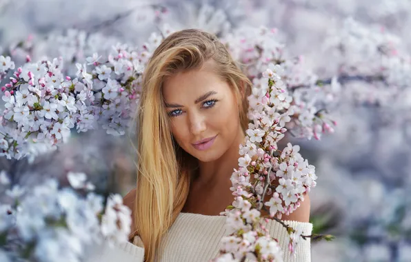 Picture look, girl, branches, face, cherry, portrait, spring, blonde