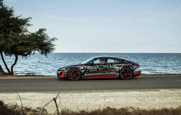 Picture Audi, shore, coupe, side view, 2020, RS e-Tron GT Prototype