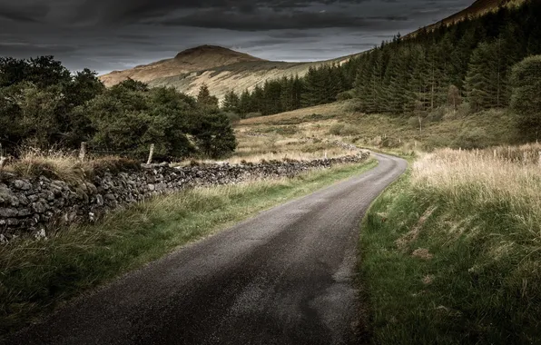 Road, the sky, the fence