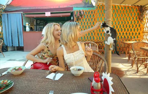 Sexy women, kitten, cat, short hair, kitty, outside, tables, playing