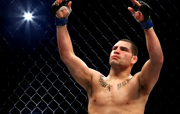 Picture tattoo, tattoo, fighter, fighter, mma, ufc, naked torso, Cain Velasquez