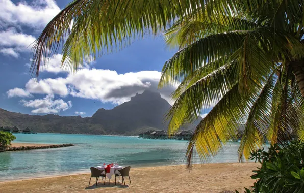 Wallpaper beach, ocean, palms, resort, table for two, bora-bora images ...