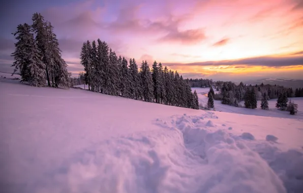 Picture winter, snow, morning