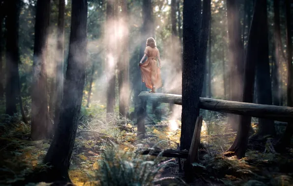 Picture GIRL, FOREST, TRUNK, DRESS, TREES, FRAME