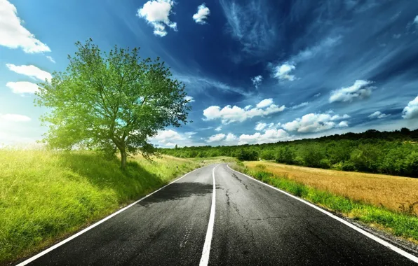 Road, the sky, grass, tree