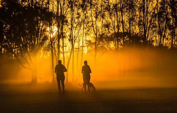 The city, fog, Park, morning, run