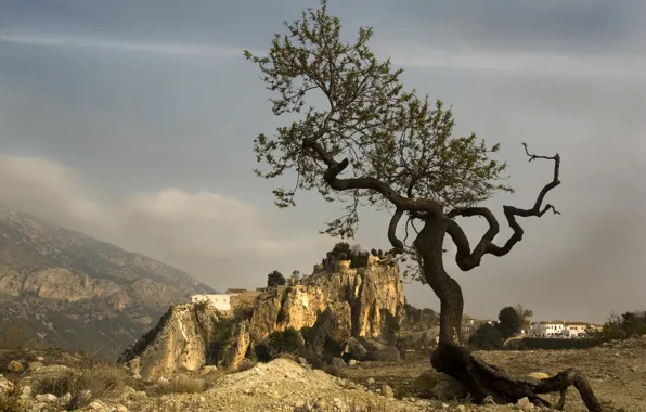 Picture mountains, tree, form, Spain, Valencia