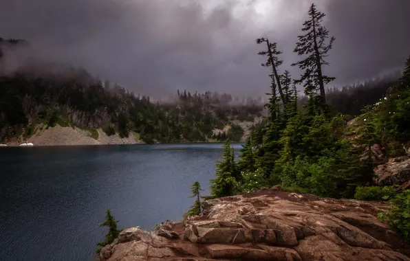 Forest, trees, mountains, clouds, fog, lake, river, stones