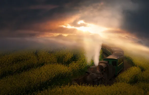 The sky, the sun, clouds, flowers, mountains, fog, dawn, smoke