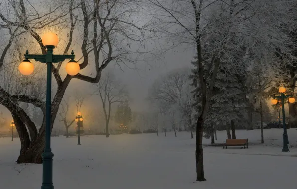 Light, snow, Park, Winter, lights, benches