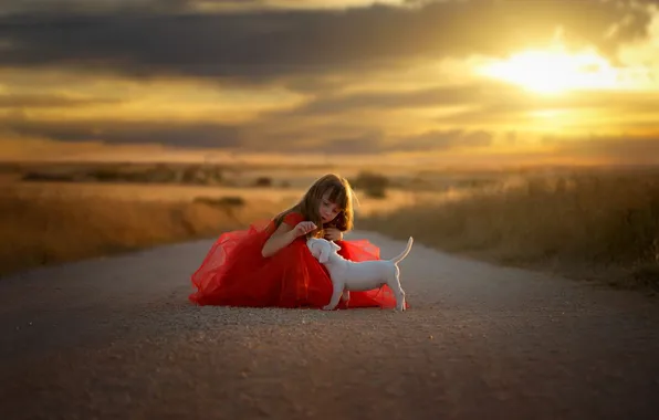 Picture road, dog, girl