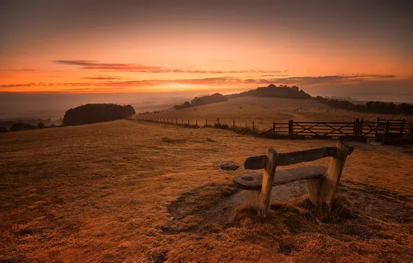 Field, sunset, bench