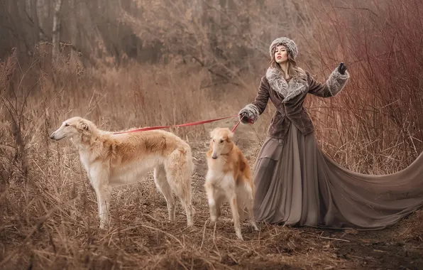 Autumn, forest, dogs, girl, branches, nature, pose, stems