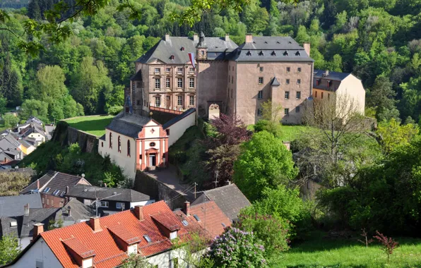 Picture forest, summer, castle, home, Malberg, trees, Germany, Sunny