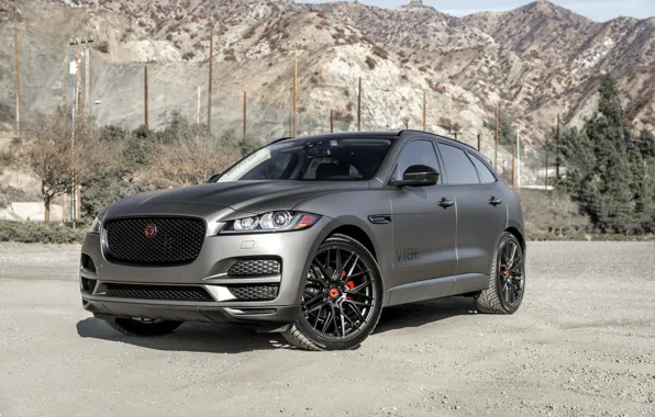 Jaguar, Mountains, Sight, F-Pace
