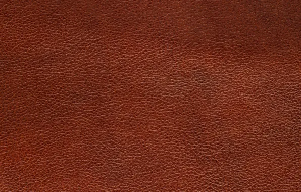 Leather, texture, leather, skin