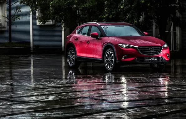 Road, rain, Mazda, Rain, Mazda, crossover, Burgundy, CX-4