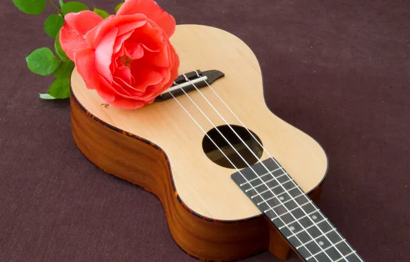 Picture rose, guitar, red, Rose, Guitar