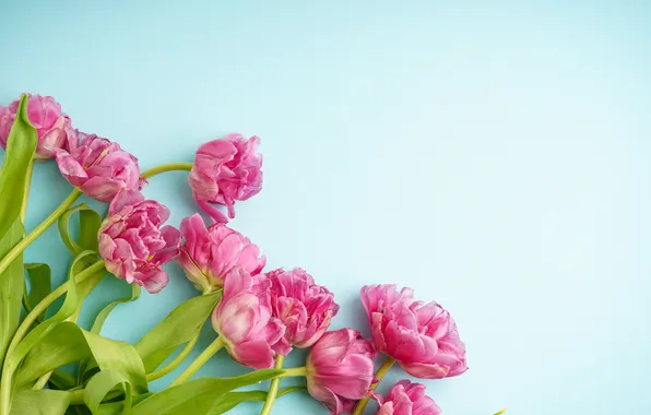 Picture flowers, bouquet, tulips, pink, pink, flowers, beautiful, tulips