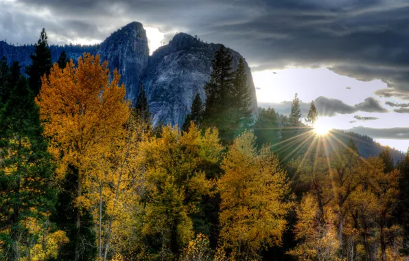 Picture autumn, forest, rays, trees, sunset, mountains, hdr, CA