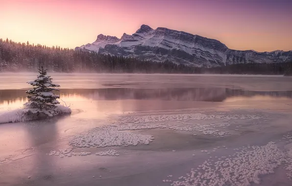 Mountains, lake, morning, tree