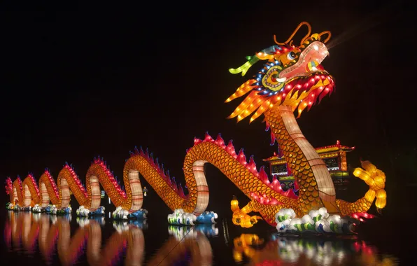 Picture dragon, decoration, color image, chinese new year, concepts and ideas