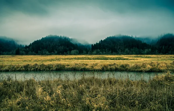 The sky, trees, fog, river, Oregon
