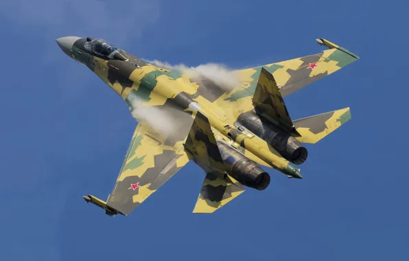 Fighter, Dry, Su-35BM, '901'