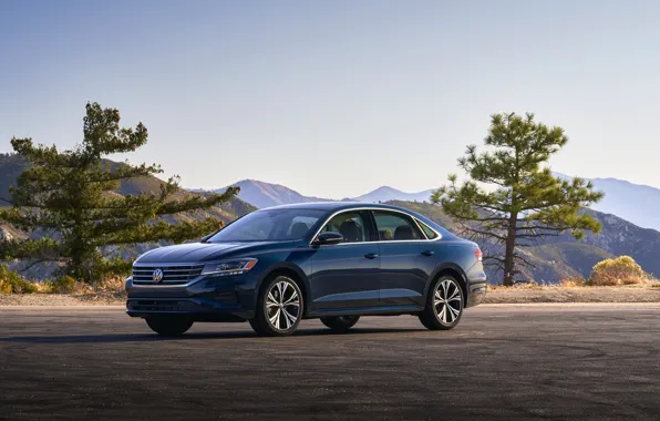 Trees, blue, Volkswagen, sedan, Passat, 2020, 2019, US Version