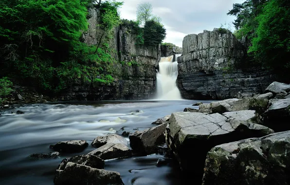 Trees, stones, waterfall, stream