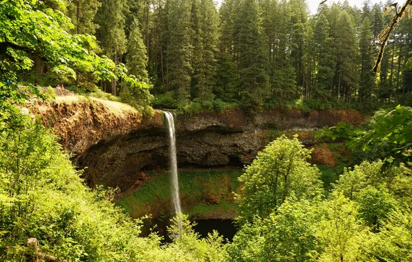 Picture greens, forest, trees, Park, open, waterfall, USA, Sunny