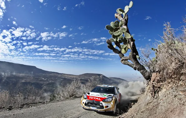 Picture The sky, Sport, Speed, Race, Day, Citroen, DS3, rally