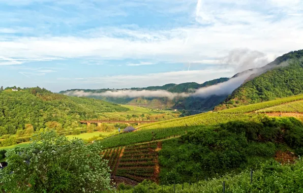 Field, mountains, bridge, river, Germany, plantation, Ediger-Eller