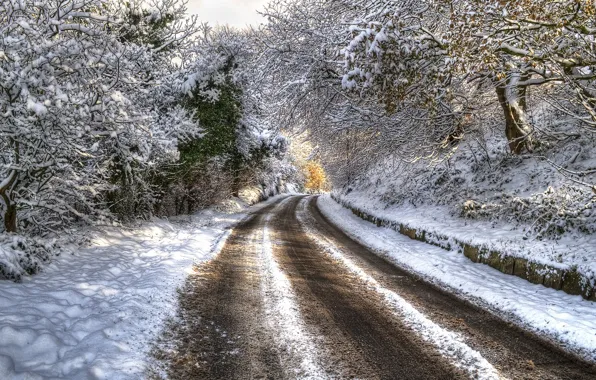 Picture winter, road, snow, trees, HDR, trees, winter