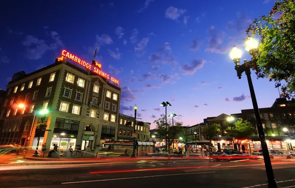 Picture night, Night, usa, Cambridge, Cambridge, Massachusetts, Massachusetts, Harvard Square