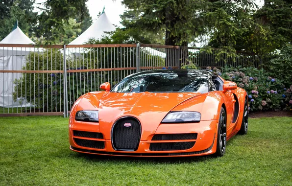 Picture veyron, vitesse, bugatti