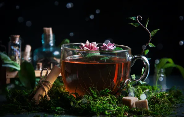 Flowers, bubbles, tea, moss, Cup, sugar, bokeh, scroll