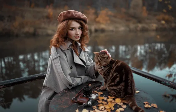 Autumn, cat, cat, look, girl, nature, face, pose
