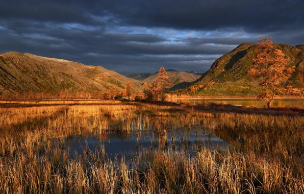 Autumn, grass, landscape, mountains, clouds, nature, lake, Kolyma