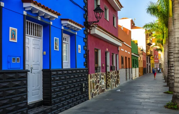 Palm trees, street, home, Spain, Puerto de la Cruz