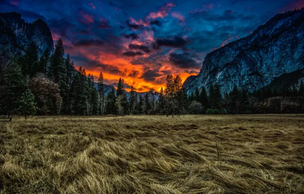 Picture grass, clouds, trees, sunset, mountains, nature, meadow, CA