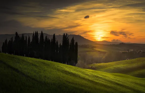 The sky, sunset, nature